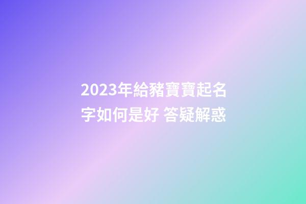 2023年給豬寶寶起名字如何是好 答疑解惑